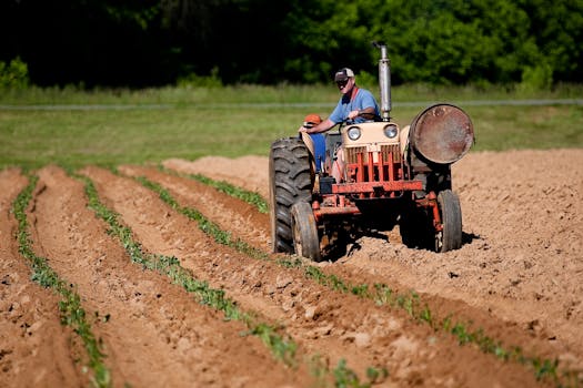 Trabalhador rural, tá pegando no pesado sem registro? 1 A farmer driving a tractor plowing rows in a rural North Carolina field on a sunny day.